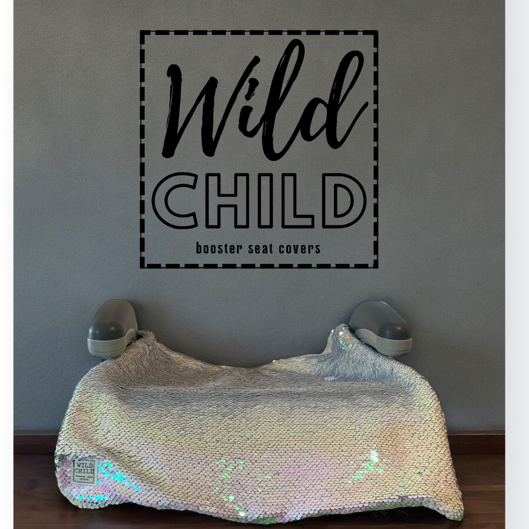 Hummingbird Sequin Booster Seat Cover